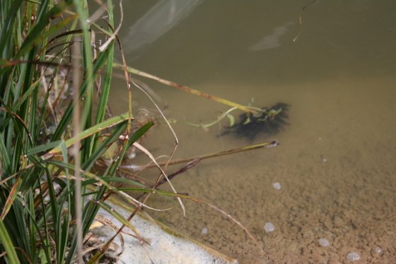 rencontre en terre lotoise